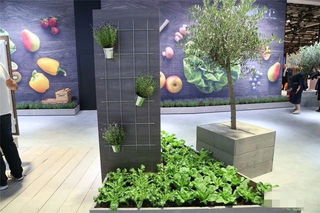 利勃海尔冰箱与利勃海尔挖机,利勃海尔卖挖掘机吗