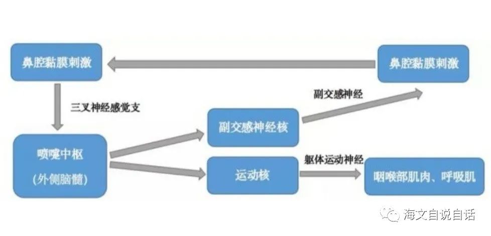 打喷嚏为什么那么舒服,怎样打喷嚏比较优雅