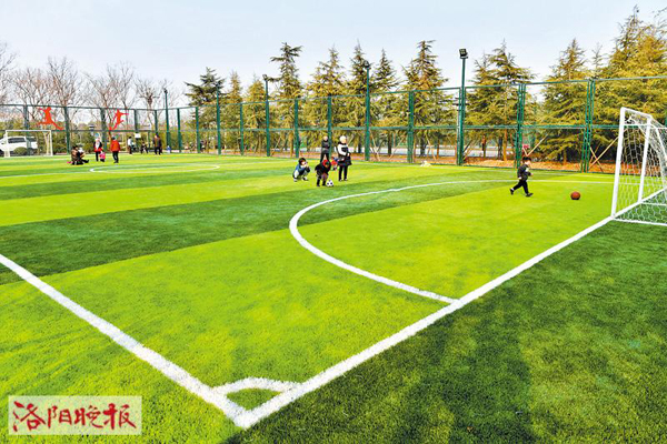 洛阳免费球场官网,洛阳王城球场