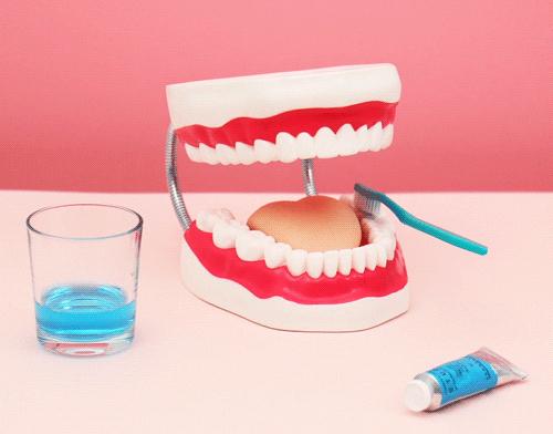 牙齿卫生用品,牙齿清洁工具排行榜