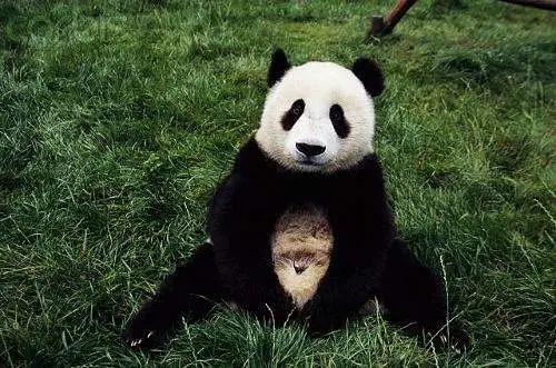 肚脐眼里的泥一直不抠可以么,肚脐眼里的泥是什么到底能不能抠