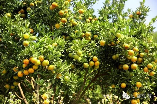 双节溜达最佳路线图,云霄旅行攻略