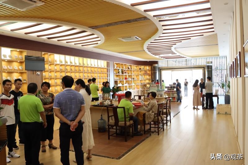 “海高斯”过后，珠海明媚，一杯热茶聚金湾