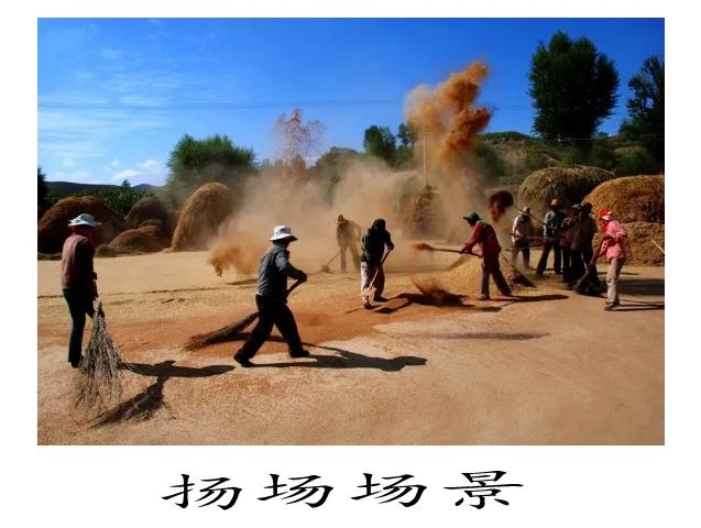 乡村记忆之我的表嫂,乡村记忆