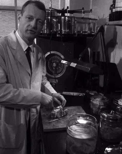 爱因斯坦死后的大脑被人偷走了吗,爱因斯坦死后大脑竟然被保留