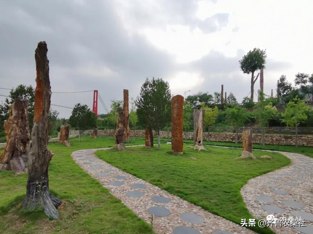 青州民宿桐峪里价格,青州桐峪里民宿有树屋吗