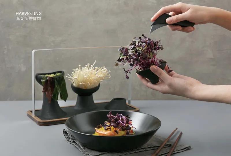 食物设计案例,健康饮食的设计意图