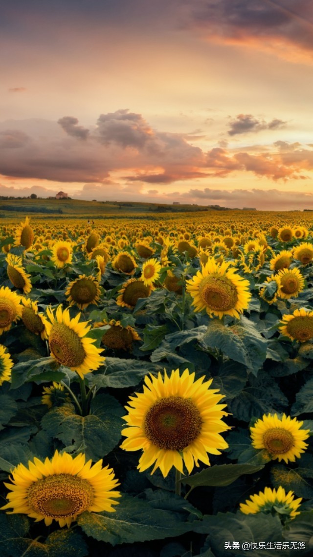 a股龙头时代,a股即将迎来重大突破