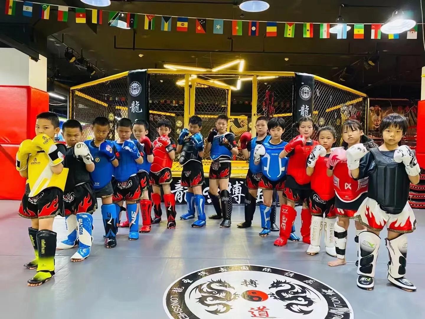 武术散打跆拳道拳击,武术散打跆拳道