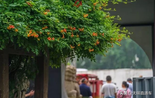 无锡夏天避暑的地方,无锡附近暑假避暑旅游好去处