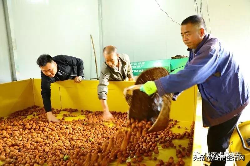 我叫成县，这是我2019年的自拍照