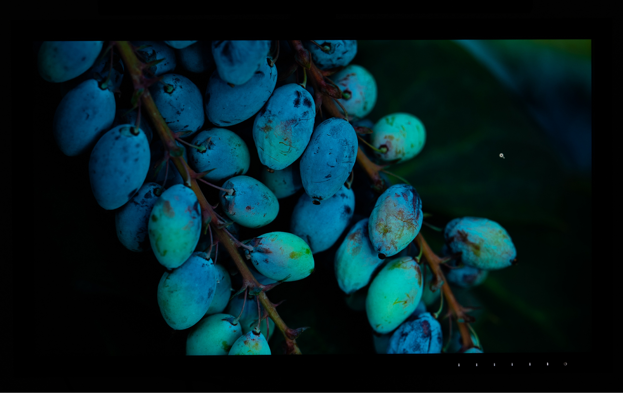 eizo最新显示器,eizo顶级显示器