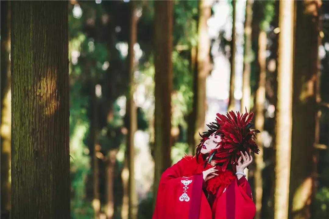 90后女孩拍稀有动物,90后女孩拍视频200万