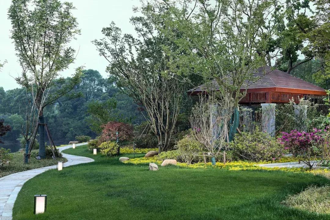 火遍江浙的东南亚餐厅,火遍江浙沪