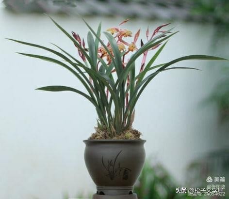 如何提高做美篇的能力,如何提高美篇阅读量