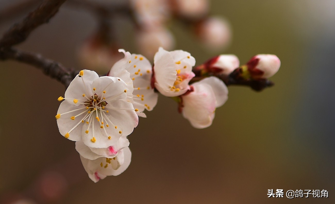 难容之事不妨付之一笑,生气时能够坦然一笑是一种大度