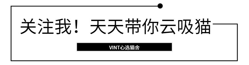 你醒醒抖音,你醒醒完整版视频