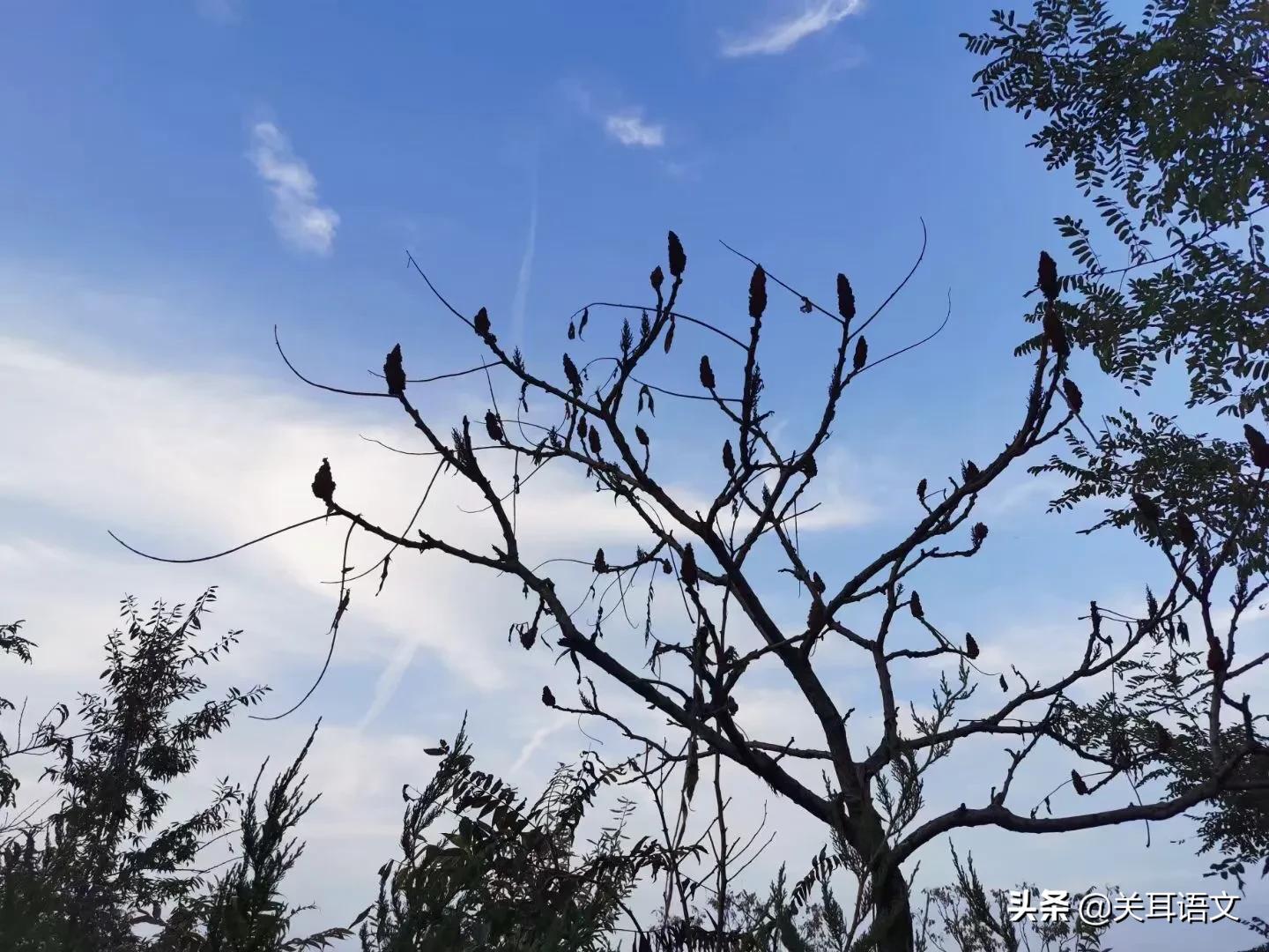 最新研修日志,研修日志写作