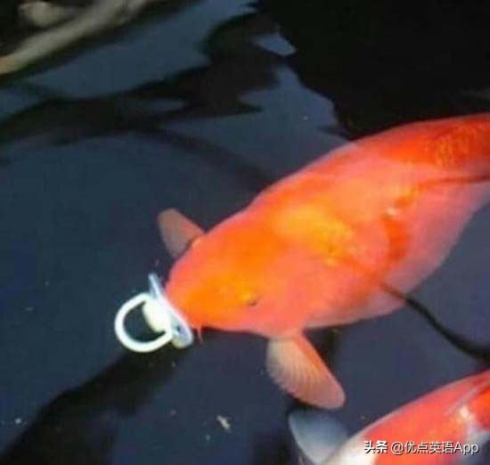 讽刺与幽默:你知道老美是怎么调侃他们的乡下人的吗?