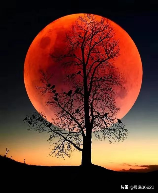 宀是一座房,有田能致富,有媳家可安,生丁添口方得家和夫妻宁