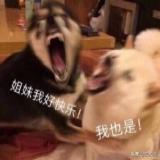 五款chrome神级插件推荐,良心推荐chrome插件真的非常好用