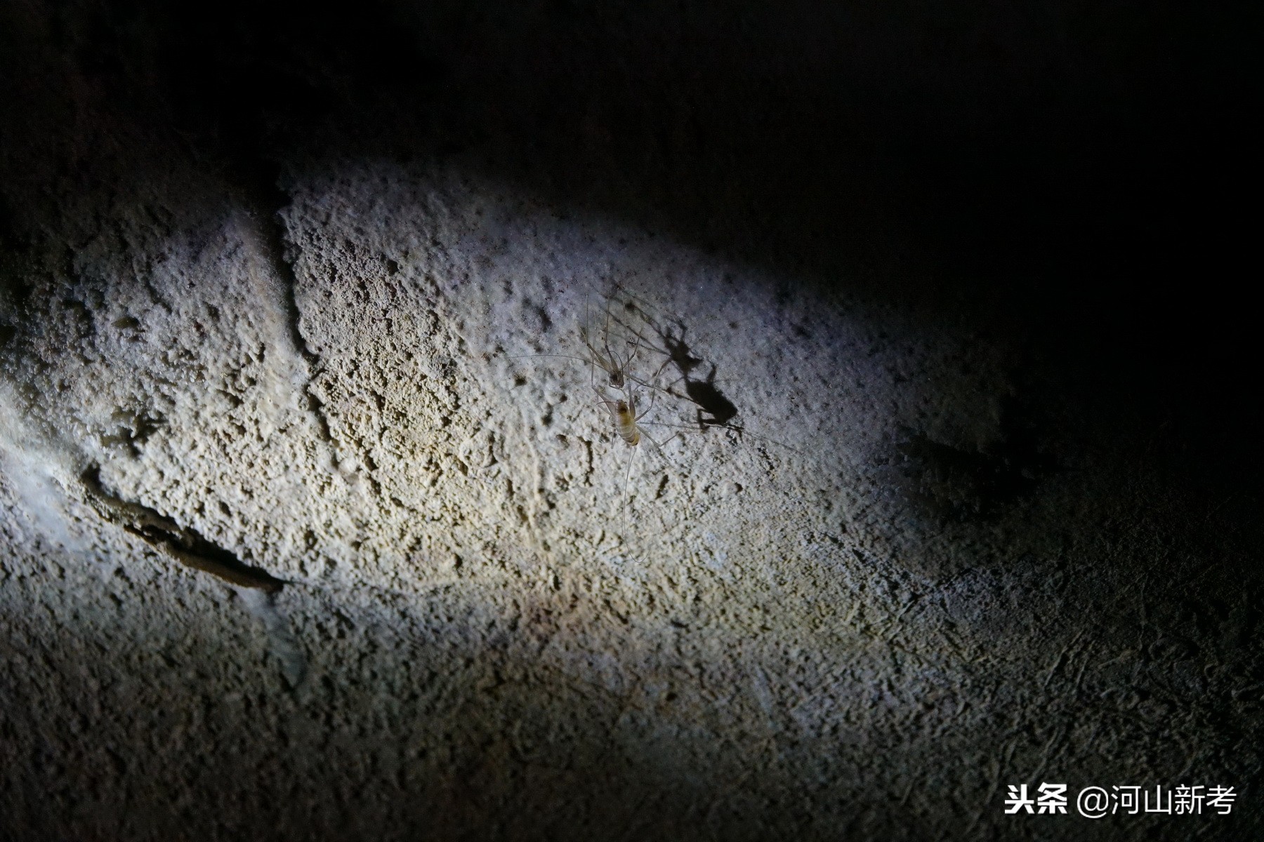 探险中国天坑视频,专家探险贵州神秘天坑完整版视频