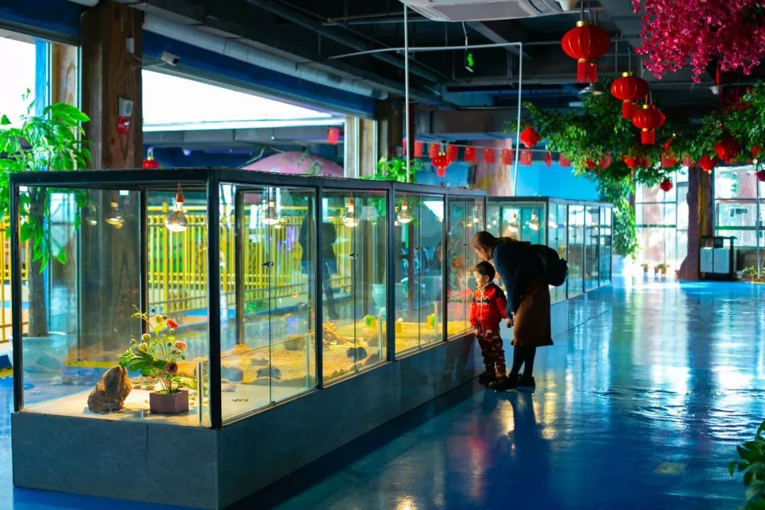 海洋剧场秀、丛林萌宠乐园、风车向阳花，昆明热闹新春，属于它