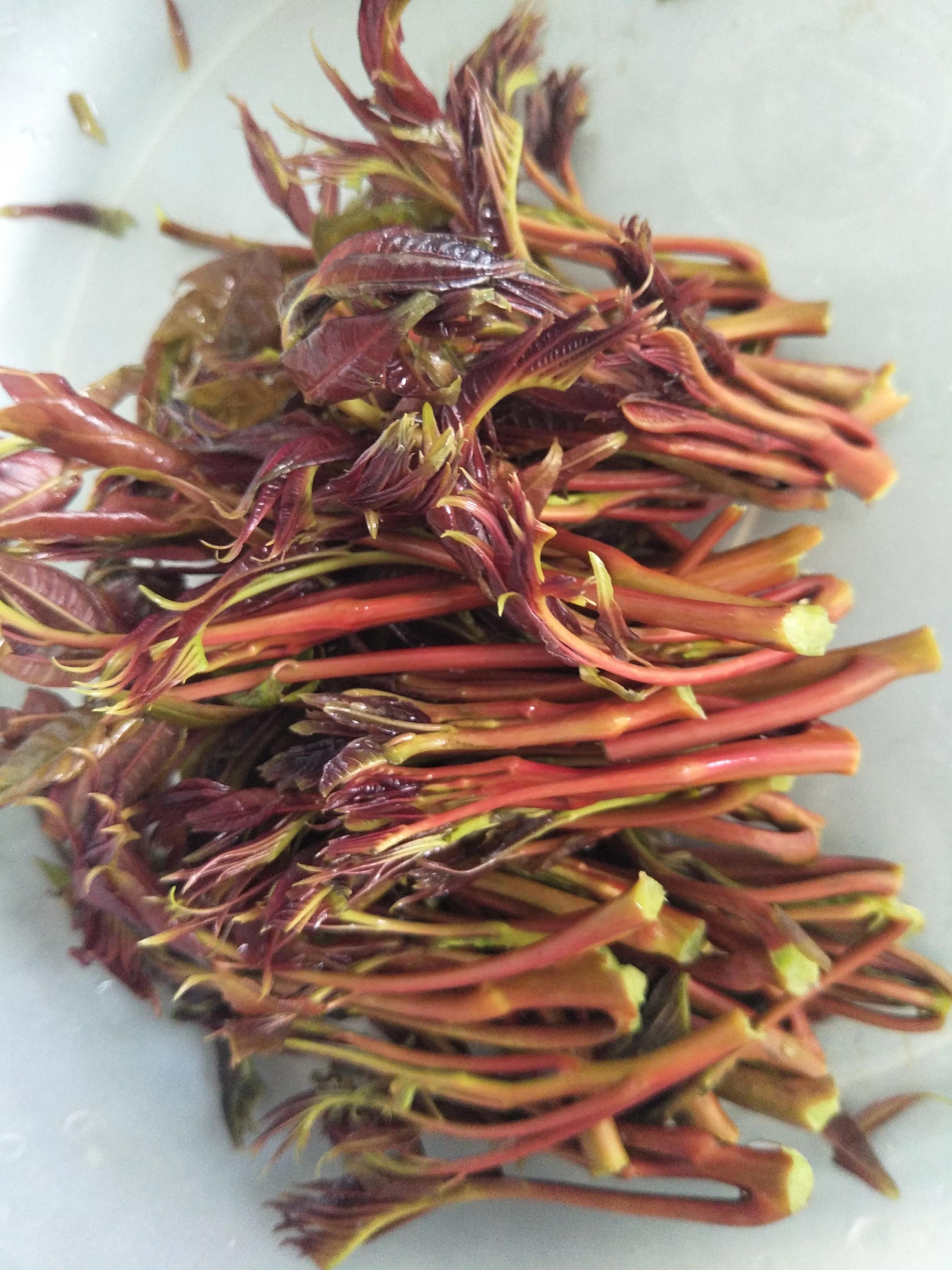 棣欐た楦¤泲鐑らゼ鍋氭硶,棣欐た鐑らゼ