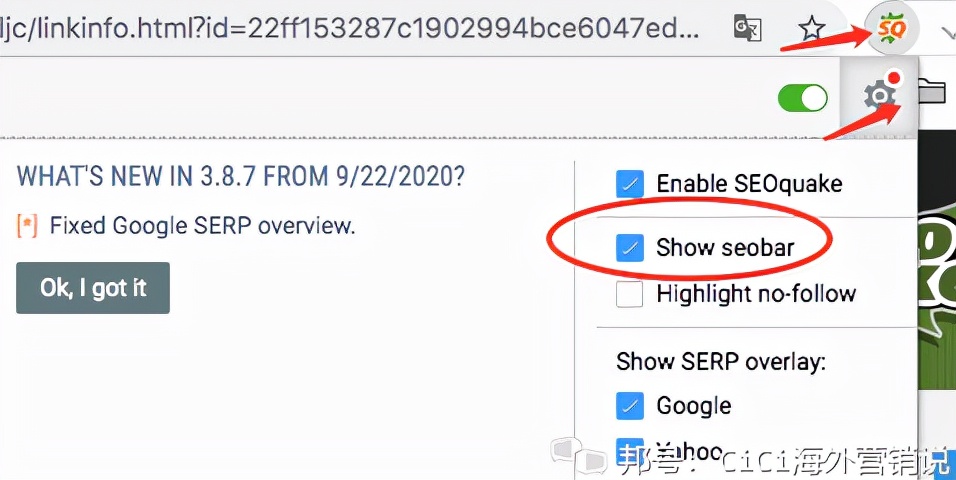 谷歌seo快速入门,谷歌seoquake插件