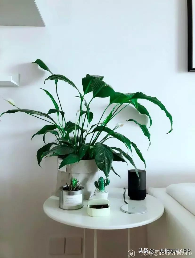 智能家居只买这几样就够了,智能家居五大让人拒绝不了的魅力