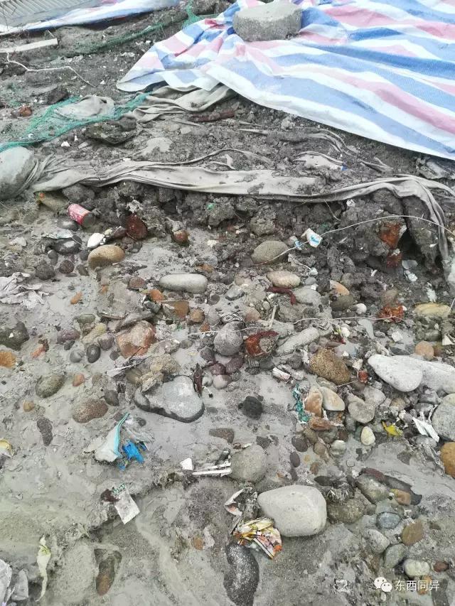 垃圾焚烧处理厂是如何处理垃圾的,垃圾焚烧发电厂的垃圾怎么处理了