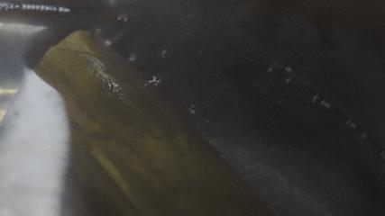 便利店美食日本关东煮,日本美食关东煮