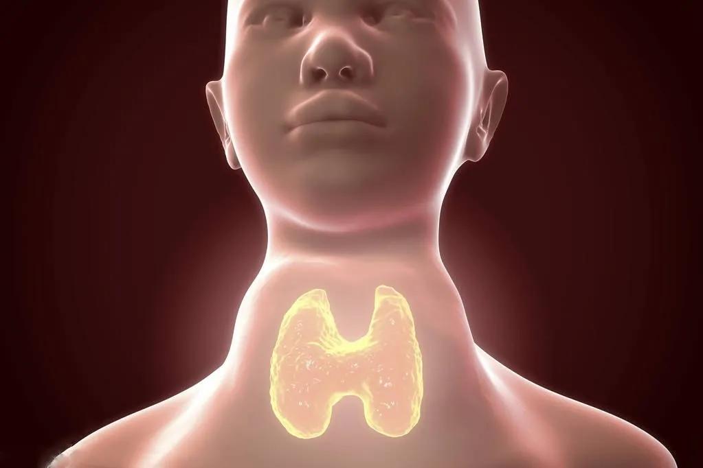 甲亢男性的10个症状表现,甲亢性心脏病的症状有哪些