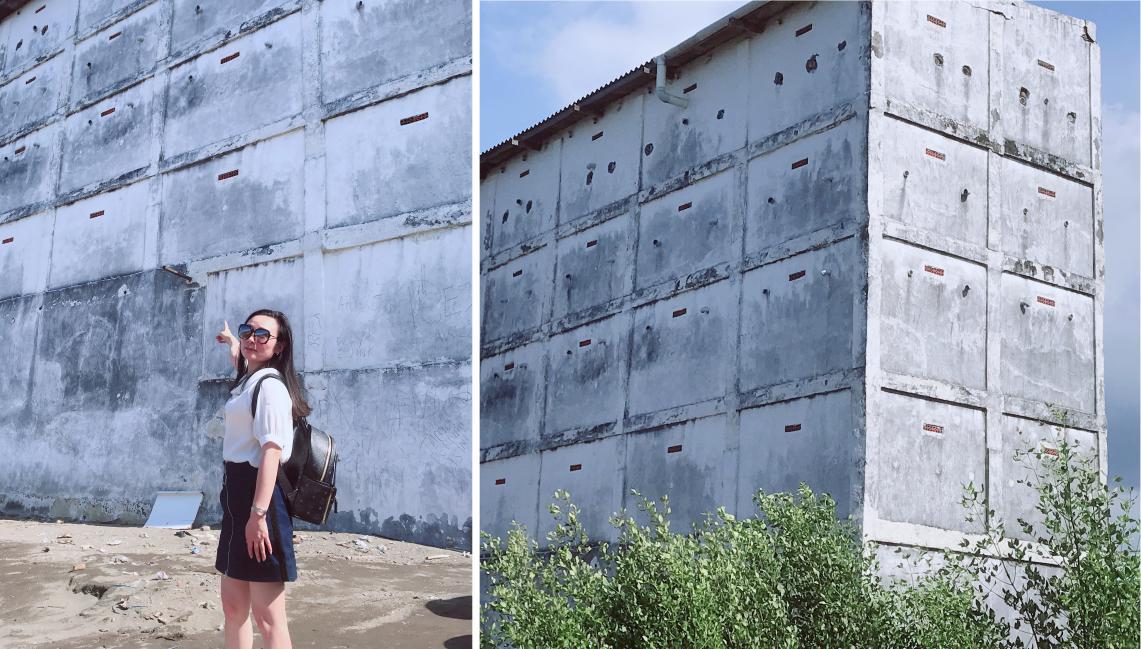 燕窝真没营养吗,燕窝假货可靠吗