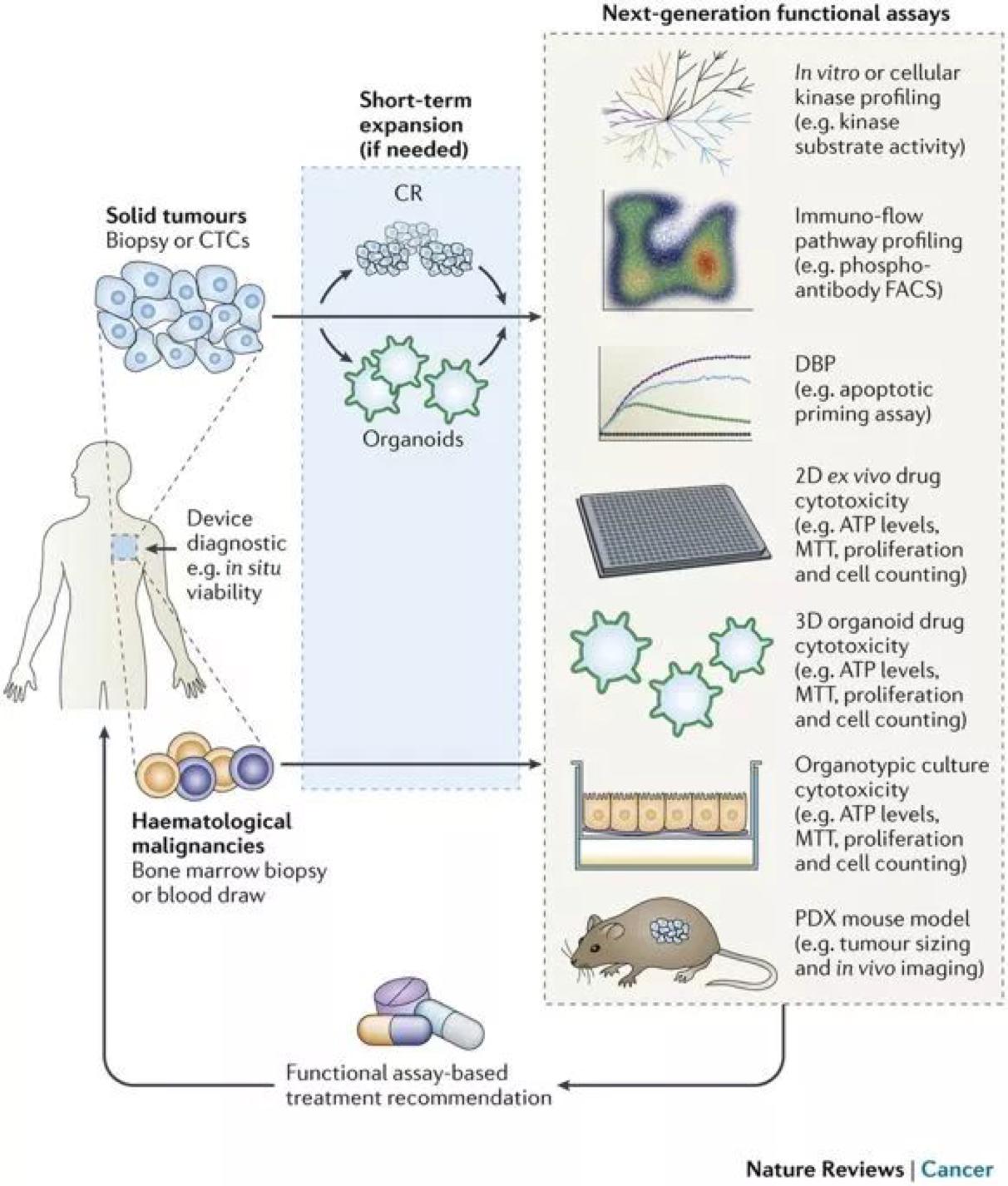 精准治疗在肿瘤诊断中的作用,国产创新推动肿瘤精准治疗