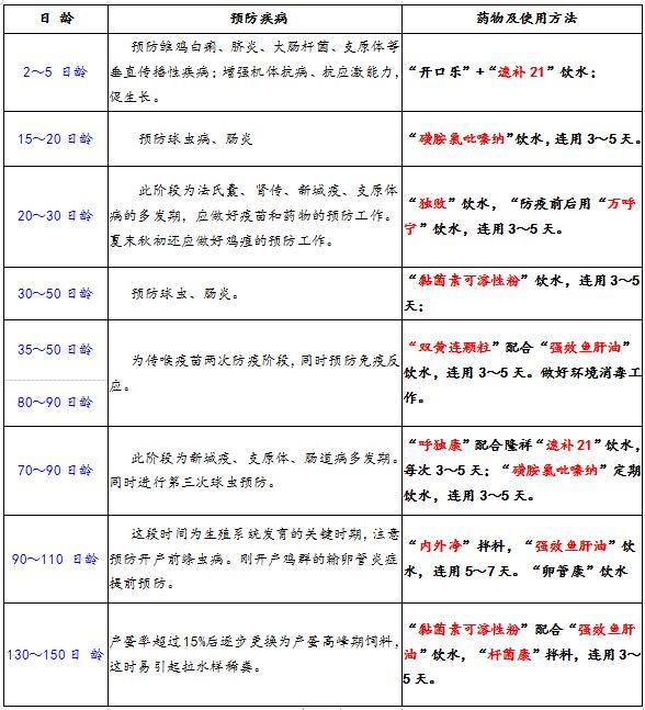 每天都捡死鸡，晚上呼噜声不断；气囊炎·腹膜炎这样轻松搞定