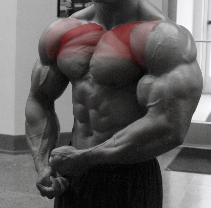 下胸肌薄弱可不可以优先训练,针对上胸薄弱的胸肌训练计划