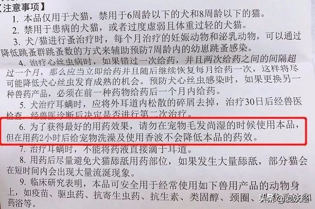 别说老狐狸不宠粉，你们要的猫用驱虫药测评！来喽