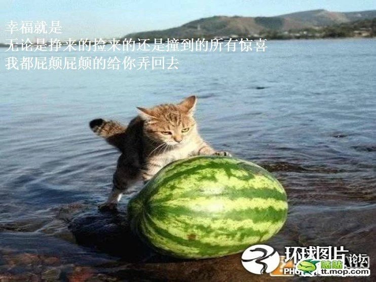 我只想说声爱你,只想再爱你一次