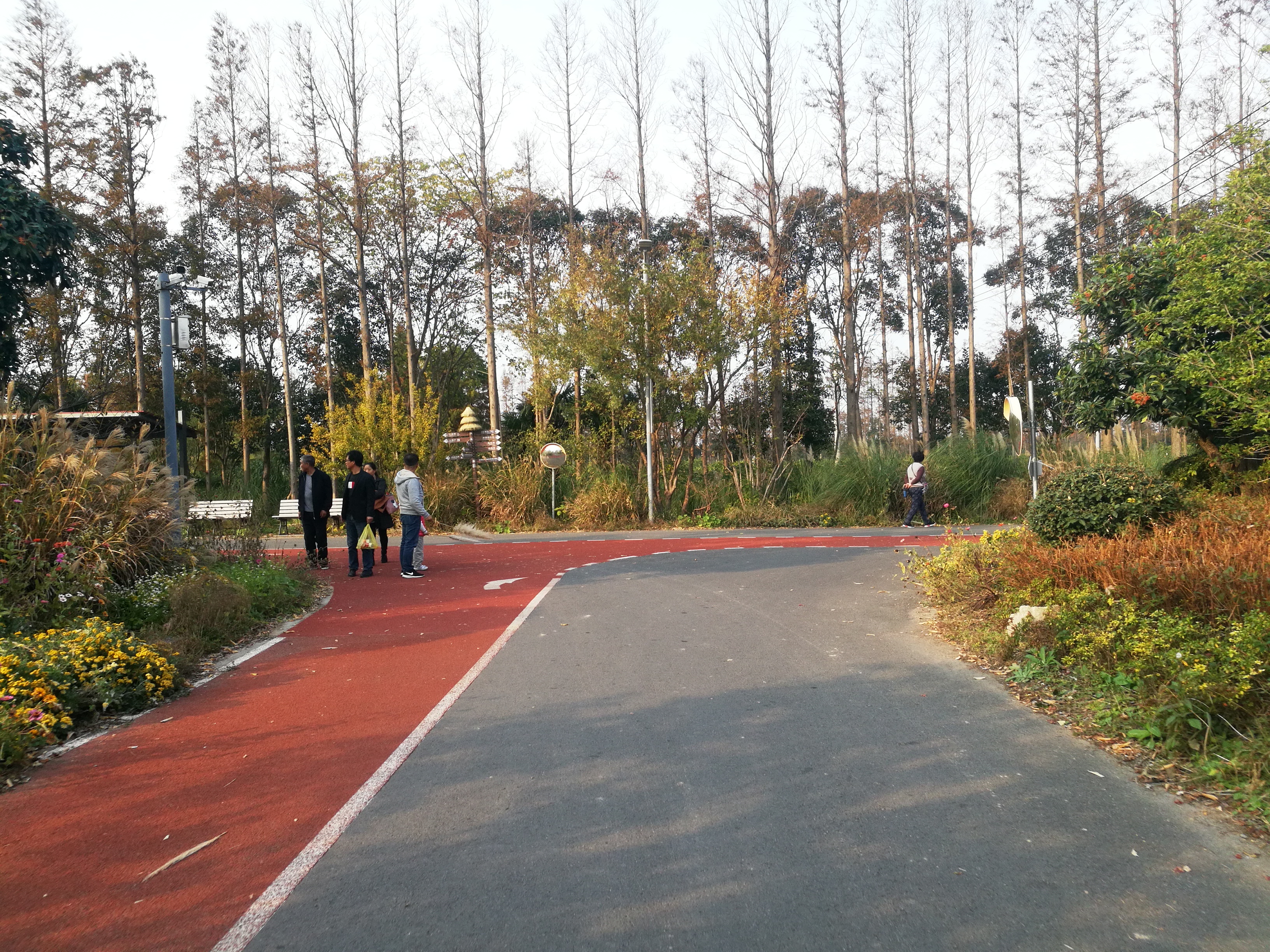 上海长兴岛郊野公园可以看见海吗,长兴岛郊野公园离上海站有几公里