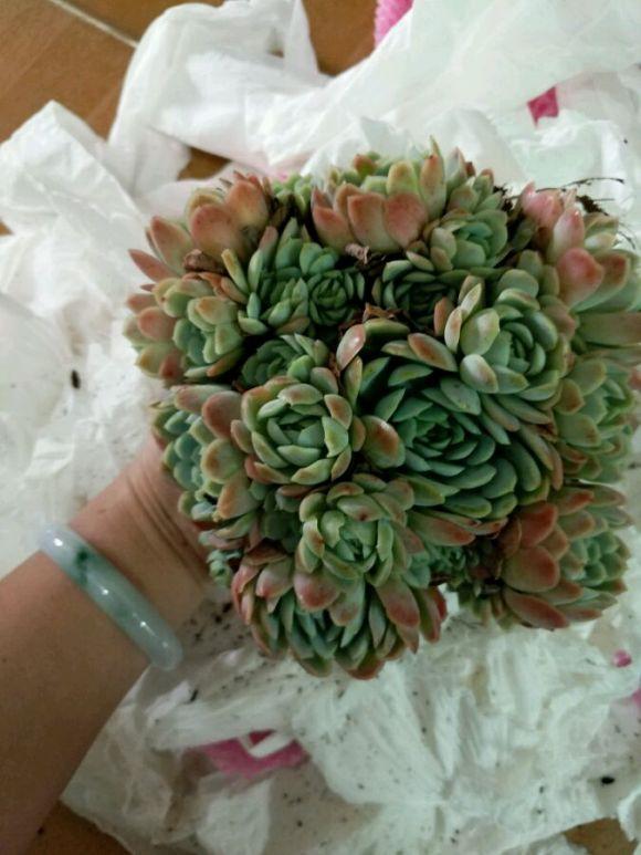 花店买花怎么选划算,花店买花一般怎么买