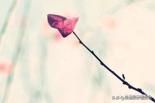 怎样求婚最简单而有浪漫的感觉,六招搞定女人心