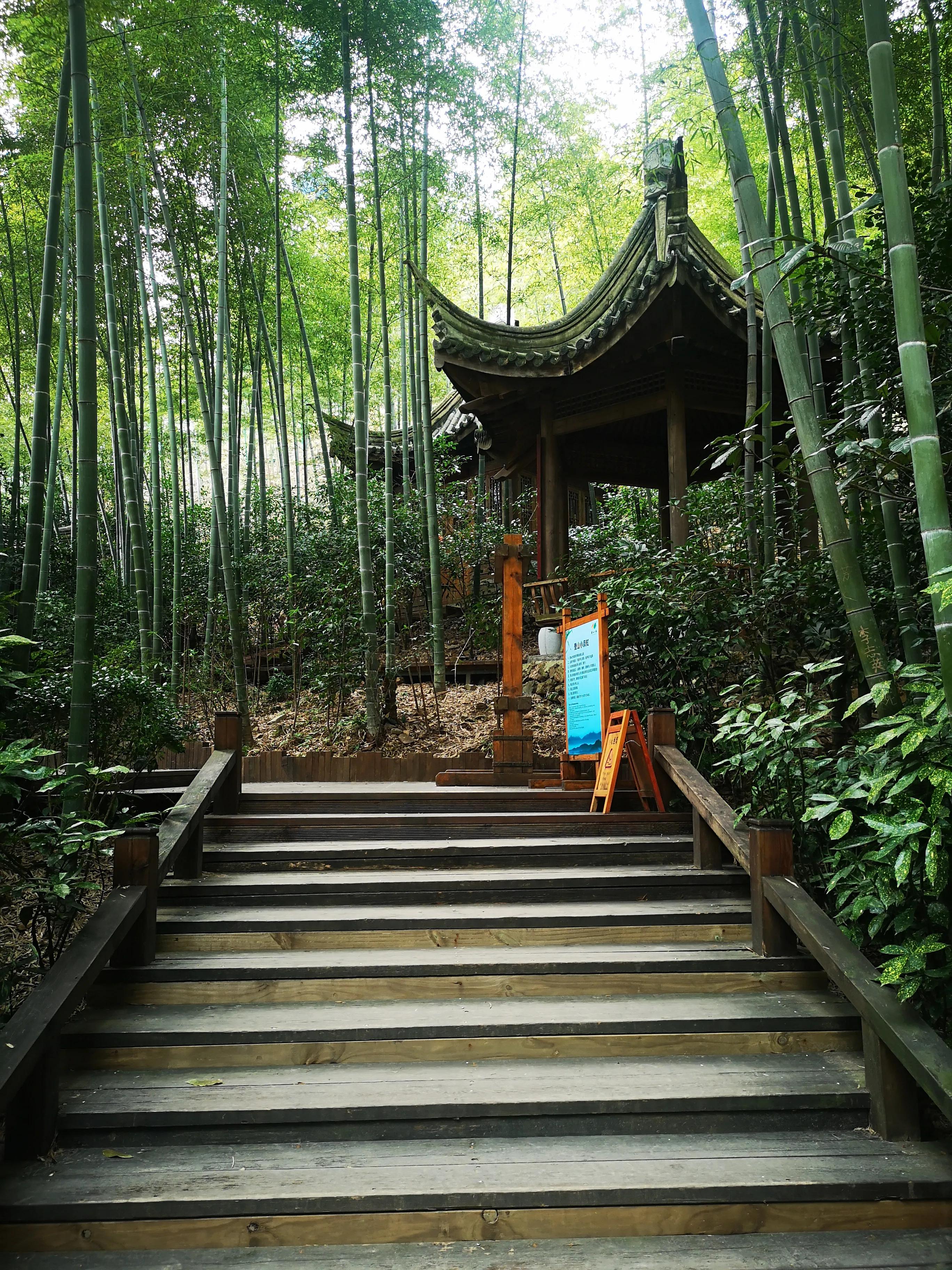 溧阳南山竹海小鸟天堂,宜兴南山竹海和溧阳南山竹海