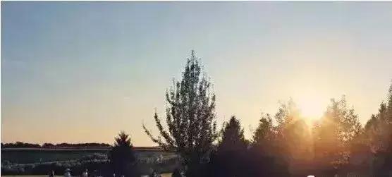 国外休闲农场大全,为什么国外农场规模大