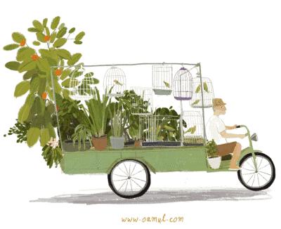 对运势有帮助的物品,哪些旧物要丢掉以免影响运势