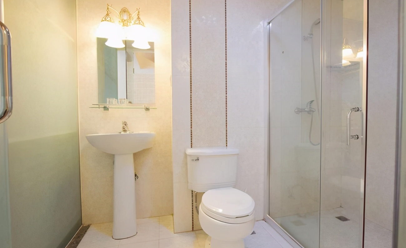 卫生间小虫子如何清除彻底,卫生间有飞虫怎么消灭小妙招