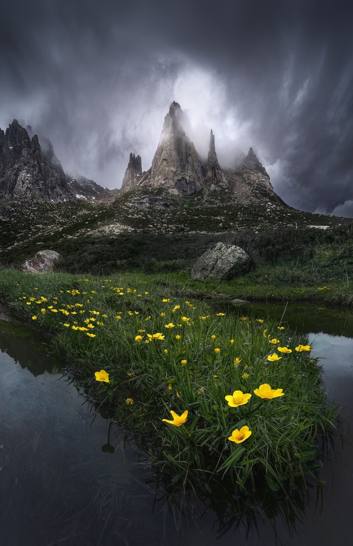 2017米拍十佳摄影师,2023米拍摄影奖名单