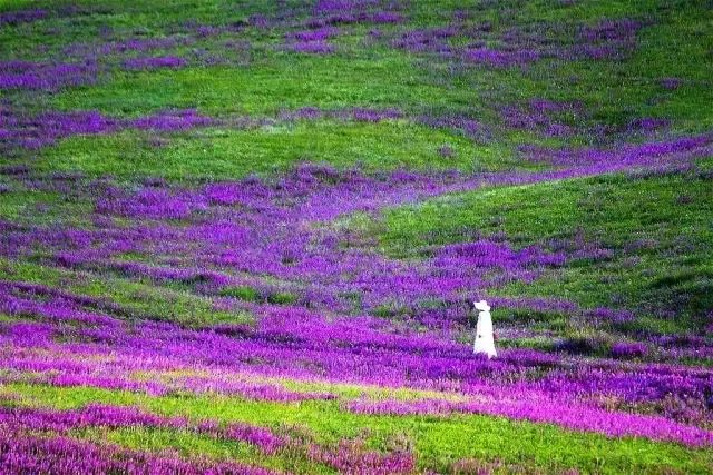 这条最“咸”最彩的公路,治好了我*藏西**的病,解掉了我*疆新**的毒