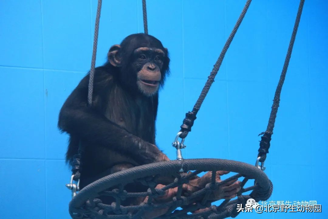 我的“欧慨”找不到啦