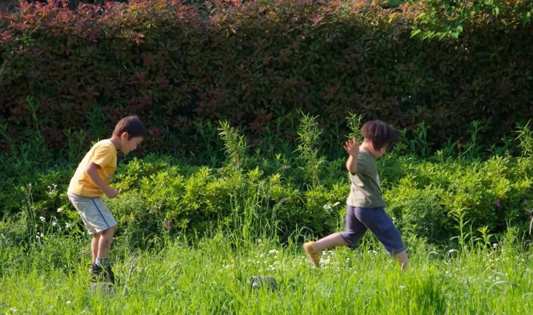 日本儿童危险公园,日本儿童公园危险吗